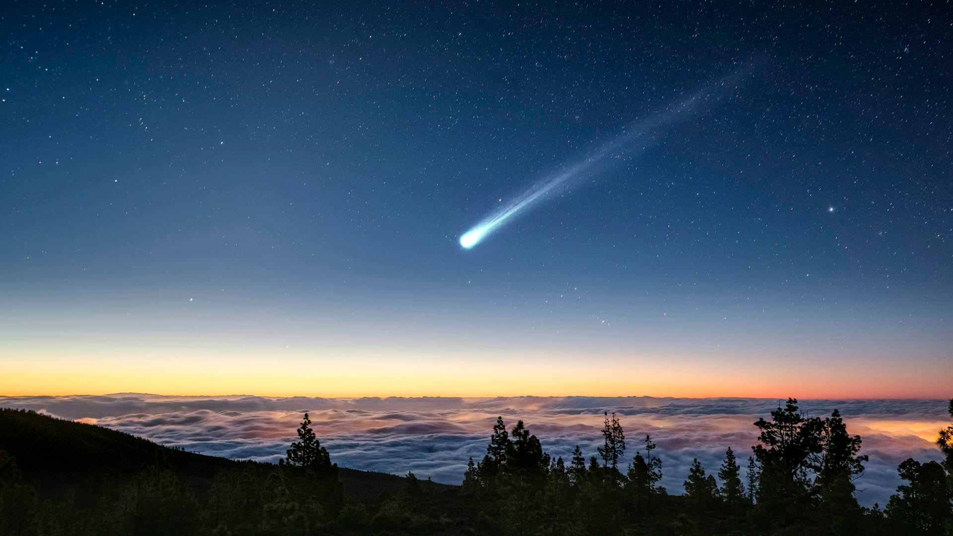 Comets Icy Wanderers of the Solar System